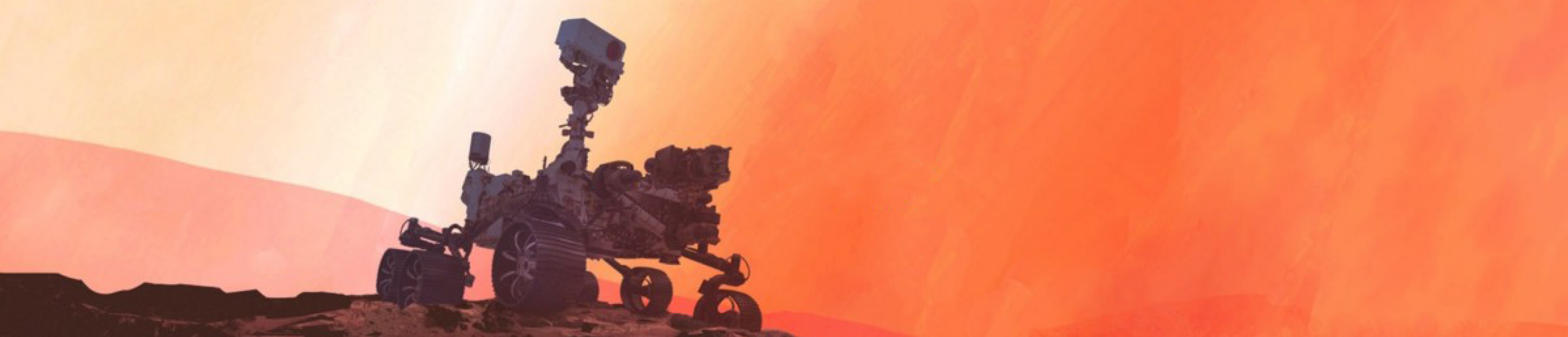 Rover img